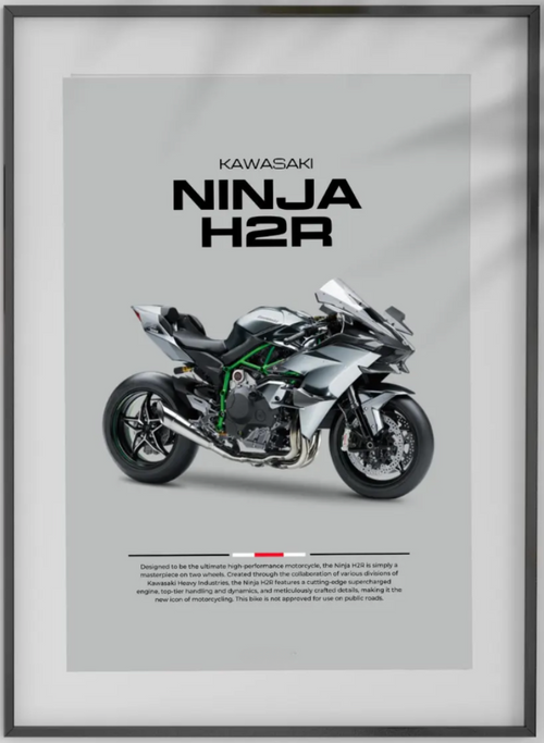 Ninja H2R Poster (PDF)